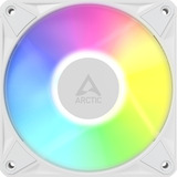 ARCTIC BioniX P12 A-RGB, Gehäuselüfter weiß/weiß, 3er Pack, 120 mm