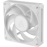 ARCTIC BioniX P12 A-RGB, Gehäuselüfter weiß/weiß, 3er Pack, 120 mm