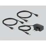DeLOCK USB 2.0 Switch für 4 PC an 4 Geräte, USB-Switch 