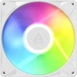 ARCTIC BioniX P14 A-RGB, Gehäuselüfter weiß/weiß, 140 mm