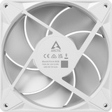ARCTIC BioniX P14 A-RGB, Gehäuselüfter weiß/weiß, 140 mm