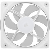 Corsair iCUE LINK RX120 II RGB, Gehäuselüfter weiß, White, 120 mm