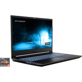 Medion ERAZER Crawler E25 (30032035), Gaming-Notebook schwarz, Windows 11 Home 64-Bit, 60 Hz Display