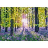 Schmidt Spiele Zarte Glockenblumen im Wald, Puzzle 1000 Teile