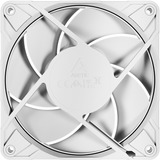 ARCTIC P12 Pro PST, Gehäuselüfter weiß, 120 mm