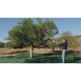 EINHELL Power X-Change Akku-Oliven-/Obstrüttler GE-FS 18/53 Li-Solo, Obstpflücker rot/schwarz, ohne Akku und Ladegerät, mit Teleskop-Stiel