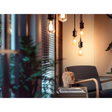 Philips HUE White Filament Lampe E27 Giant Edison ST72 550 lm, LED-Lampe 