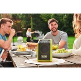 Ryobi Akku-Bluetooth Box , Lautsprecher schwarz/grün, ONE+ 18V