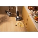 Roborock F25 RT, Nass-/Trockensauger weiß