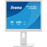 iiyama ProLite B1980S-W1, LED-Monitor 48 cm (19 Zoll), weiß (matt), SXGA, TN, HDMI, DP, Ergonomischer Standfuß