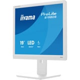 iiyama ProLite B1980S-W1, LED-Monitor 48 cm (19 Zoll), weiß (matt), SXGA, TN, HDMI, DP, Ergonomischer Standfuß