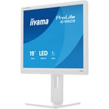 iiyama ProLite B1980S-W1, LED-Monitor 48 cm (19 Zoll), weiß (matt), SXGA, TN, HDMI, DP, Ergonomischer Standfuß
