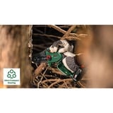 Bosch Akku-Kettensäge EasyChain 18V-15-7 Solo, 18Volt grün/schwarz, ohne Akku und Ladegerät, POWER FOR ALL ALLIANCE