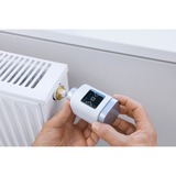 Bosch Smart Home Heizkörper-Thermostat II, Heizungsthermostat weiß