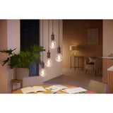 Philips HUE White Ambiance E27 Filament Lampe E27 Globe 550 lm, LED-Lampe 