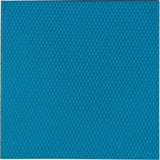 Thermal Grizzly Minus Pad Advance - 100x100x0,5 mm, Wärmeleitpads 2er Pack