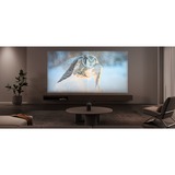 XGIMI Halo+, DLP-Beamer grau, FullHD, HDR, Android