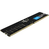 Crucial DIMM 16 GB DDR5-4800, Arbeitsspeicher schwarz, CT16G48C40U5