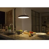Philips Hue White Ambiance Amaze Pendelleuchte, LED-Leuchte schwarz, inkl. Dimmschalter