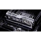 G.Skill DIMM 48 GB DDR5-8400 (2x 24 GB) Dual-Kit, Arbeitsspeicher silber, F5-8400J4052G24GX2-TR5S, Trident Z5 Royal, INTEL XMP
