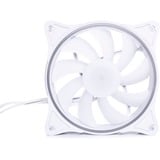 Alphacool Rise Aurora 120 mm Lüfter 120x120x25mm, Gehäuselüfter weiß, 120 mm