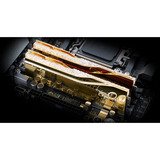 G.Skill DIMM 48 GB DDR5-6000 (2x 24 GB) Dual-Kit, Arbeitsspeicher gold, F5-6000J2636H24GX2-TR5NG, Trident Z5 Royal, AMD EXPO