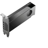 PNY NVIDIA RTX PRO 2000 Blackwell Generation 16GB PB, Grafikkarte Bulk