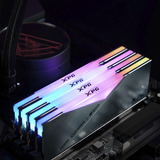 ADATA CUDIMM 48 GB DDR5-9200 (2x 24 GB) Dual-Kit, Arbeitsspeicher silber, AX5CU9200C4224G-DCLACRSG, XPG Lancer Neon RGB