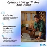HP OmniBook Ultra 14-fd0097ng, Notebook silber, AMD Ryzen AI 9 HX 375, AMD Radeon 890M, 32 GB LPDDR5X, 1 TB (1 TB SSD), Windows 11 Home