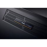 Kingston FURY DIMM 32 GB DDR5-6000, Arbeitsspeicher schwarz, KF560R32RBE-32, Renegade Pro, INTEL XMP, AMD EXPO
