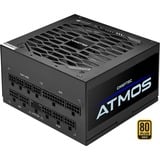 Chieftec CPX-750FC, PC-Netzteil schwarz, 1x 12VHPWR, 4x PCIe ,Kabel-Management, 750 Watt