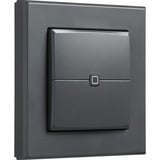 Homematic IP Wandtaster – 2-fach (HmIP-WRC2-A-2), Schalter anthrazit