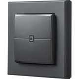 Homematic IP Wandtaster – 2-fach (HmIP-WRC2-A-2), Schalter anthrazit