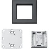 Homematic IP Wandtaster – 2-fach (HmIP-WRC2-A-2), Schalter anthrazit