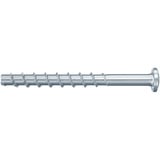 fischer Betonschraube FBS 4x50 20/15 Panhead TX 200 Stück, verzinkt