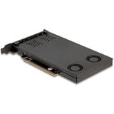DeLOCK Delock PCI Express x16 Karte Wechselrahmen für 2 x M.2 NVMe SSD - Bifurcation 
