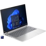 HP EliteBook 630 G11(9C0G7EA), Notebook silber, Intel® Core™ Ultra 5 125U, Intel® Graphics, 16 GB DDR5, 512 GB (512 GB SSD), Windows 11 Pro 64-Bit