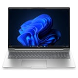 HP ProBook 4 G2a 16 AI (DL9Q0ET), Notebook silber, AMD Ryzen 5 230, AMD Radeon 760M, 16 GB LPDDR5X, 512 GB (512 GB SSD), Windows 11 Pro