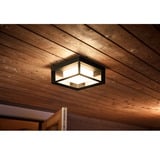 Philips HUE White & Color Ambiance Econic Outdoor quadratische Wandleuchte, LED-Leuchte schwarz