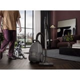 AEG ANIMAL 8000 AB81A2DG, Bodenstaubsauger grau