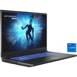 Medion ERAZER Defender P40 (30035492), Gaming-Notebook schwarz, Windows 11 Home 64-Bit, 240 Hz Display, 1 TB SSD