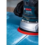 Bosch Expert C470 Schleifblatt, Ø 125mm, K40 Multilochung 5 Stück, für Exzenterschleifer