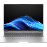 HP EliteBook 6 G1a (AD3K2ET), Notebook silber, AMD Ryzen 7 250, AMD Radeon 780M, 32 GB DDR5, 1 TB (1 TB SSD), Windows 11 Pro