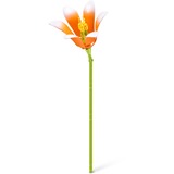 ZURU MAX Premium Flowers Collection, Konstruktionsspielzeug sortierter Artikel