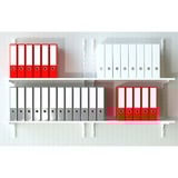 fischer Dübel SX Plus 6x30 PH TX hellgrau, 100 Stück, mit TORX-Schraube