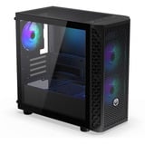ENDORFY Signum M30 ARGB , Tower-Gehäuse schwarz, Tempered Glass