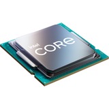Intel® Core™ i5-11600, Prozessor Tray-Version