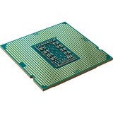 Intel® Core™ i5-11600, Prozessor Tray-Version