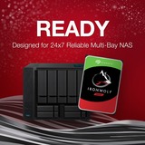 Seagate IronWolf NAS 6 TB CMR 2x, Festplatte 2er Bundle, SATA 6 Gb/s, 3,5"