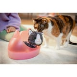 ZAPF Creation BABY born® Mein Kätzchen Cookie mit Box, Puppenzubehör 43 cm